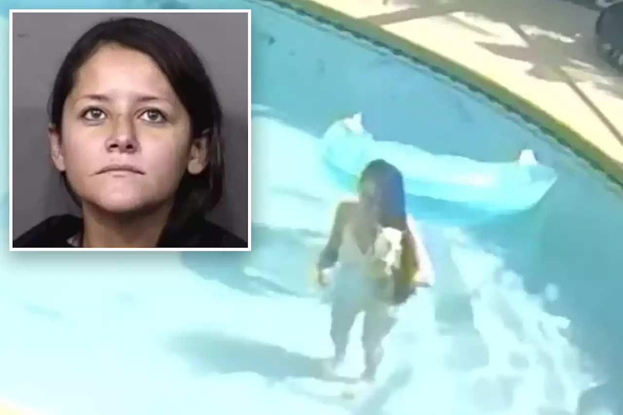 Florida woman drowned chihuahua in pool, live-streamed its body: cops