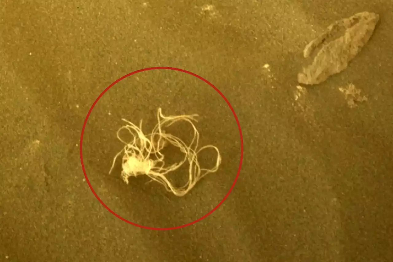 NASA provides explanation for stringy material found on Mars surface