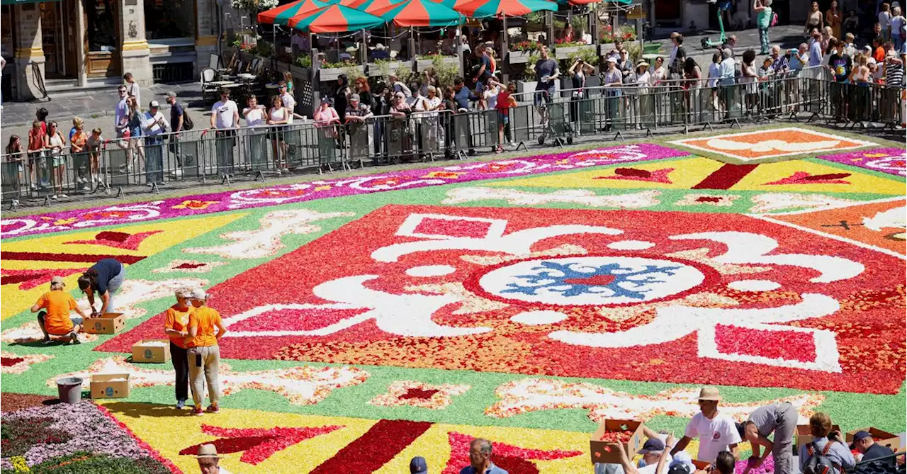 Brussels' flower carpet blooms despite heatwave