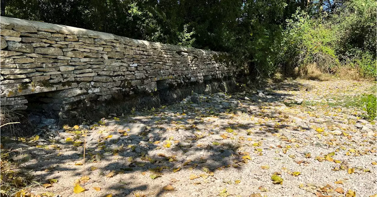 Source of Britain's River Thames driest ever as drought nears