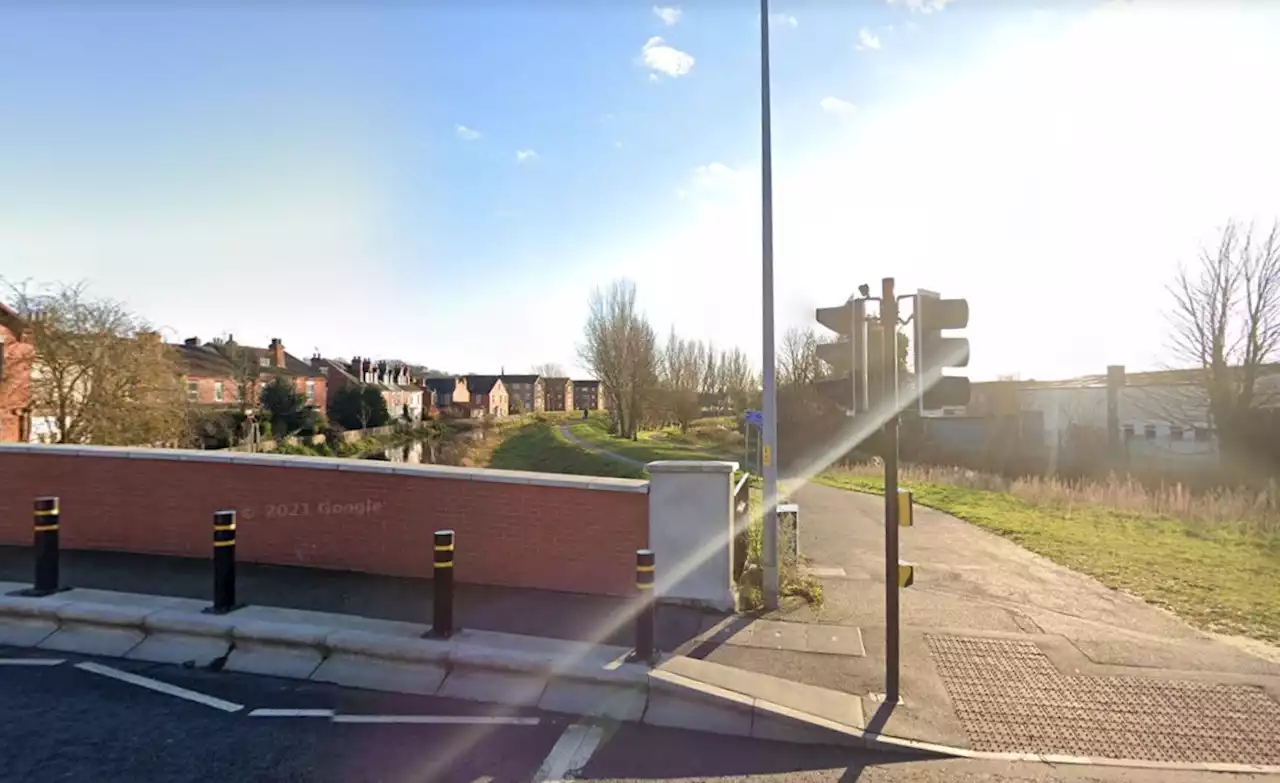 Cyclist sustains serious injuries after council fails to remove fallen tree from bike path