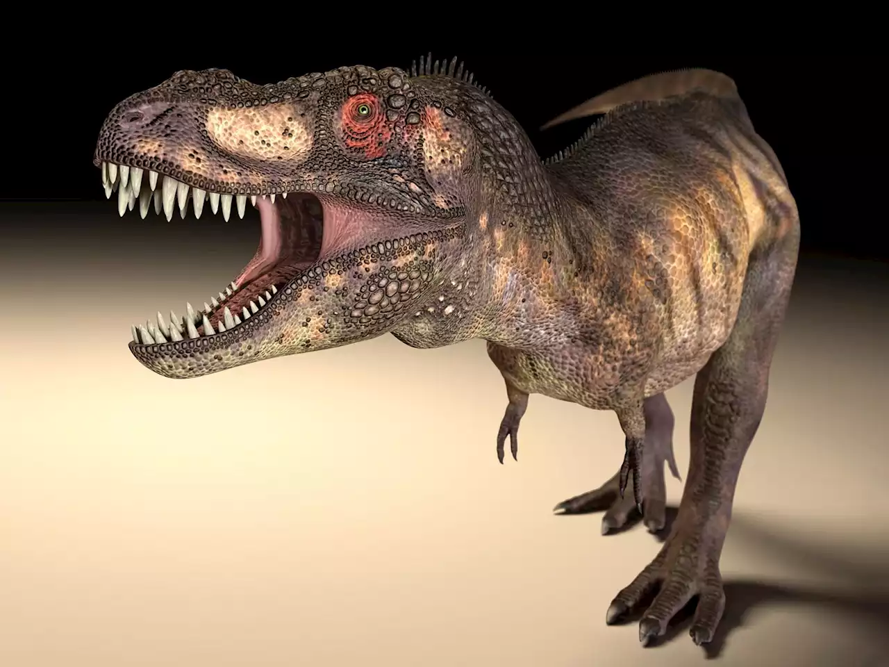 Large Dinosaur Predators – Such As T. rex – Evolved Different Eye Socket Shapes To Allow Stronger Bites