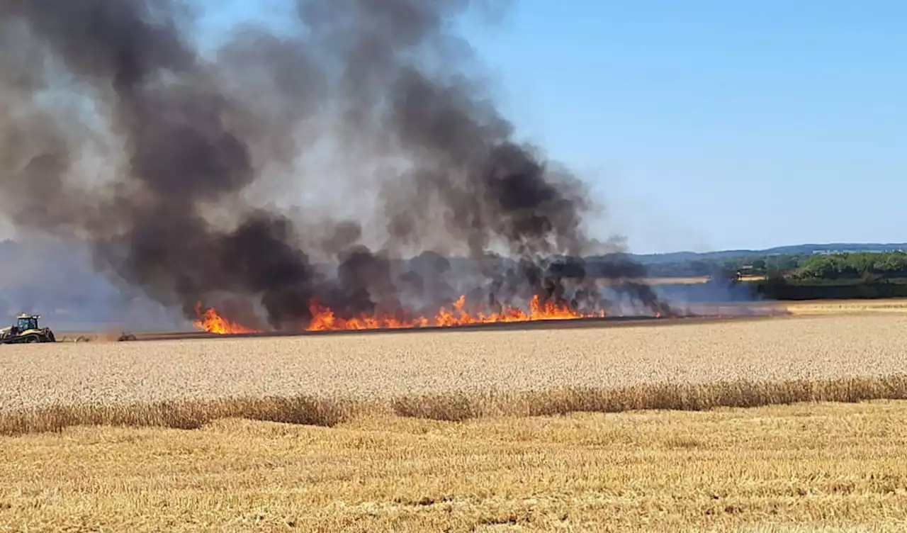 Firefighters tackle huge field fire in High Ercall