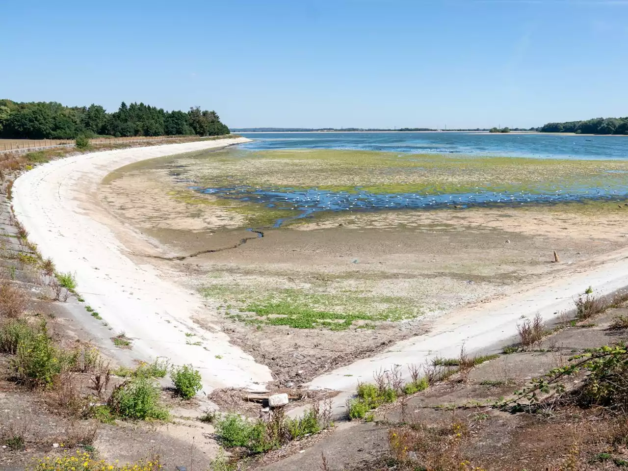 Drought expected to be declared for parts of England as heatwave scorches UK