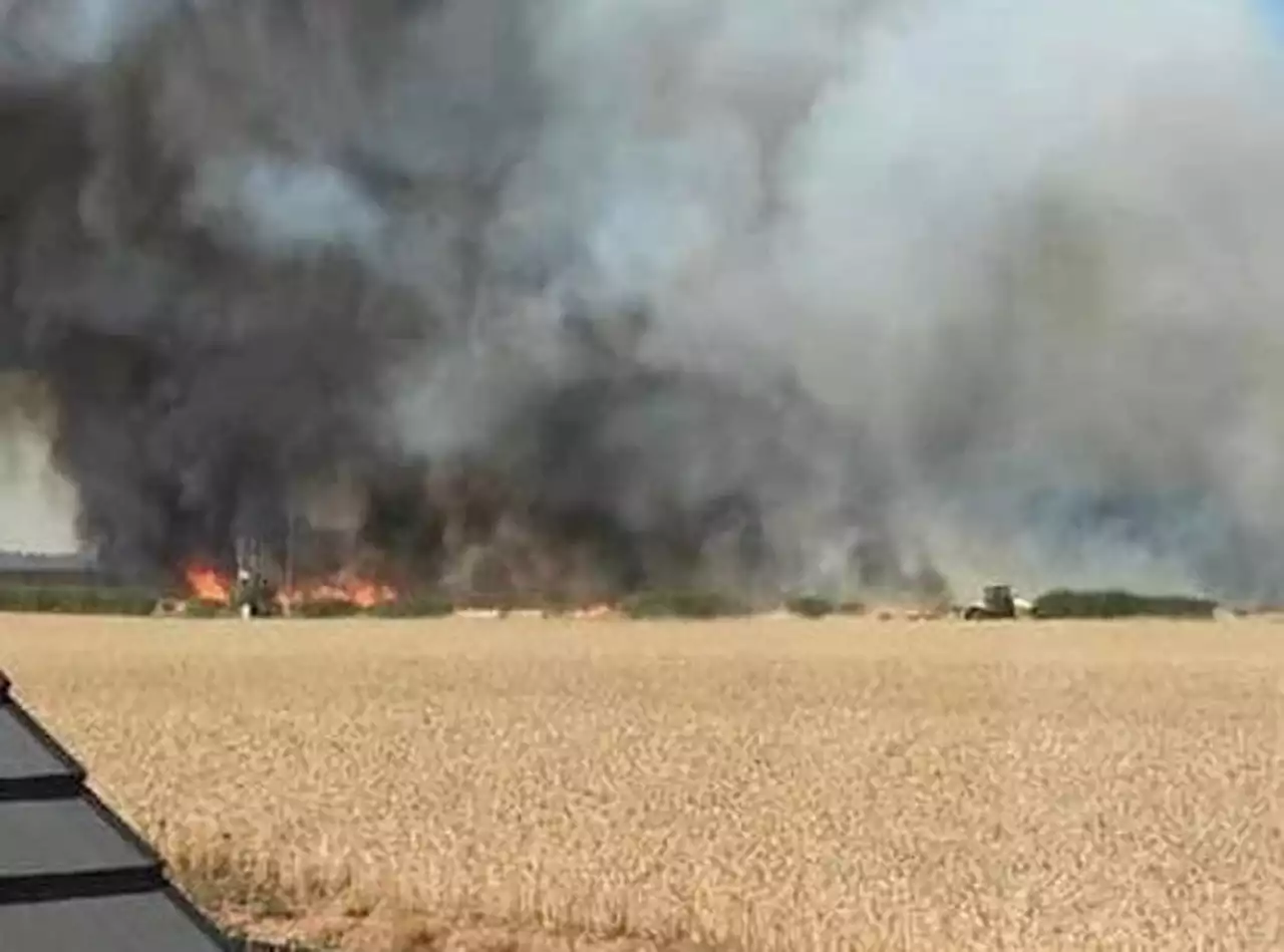 Three large grain fields destroyed in major field blaze as fire crews battle flames