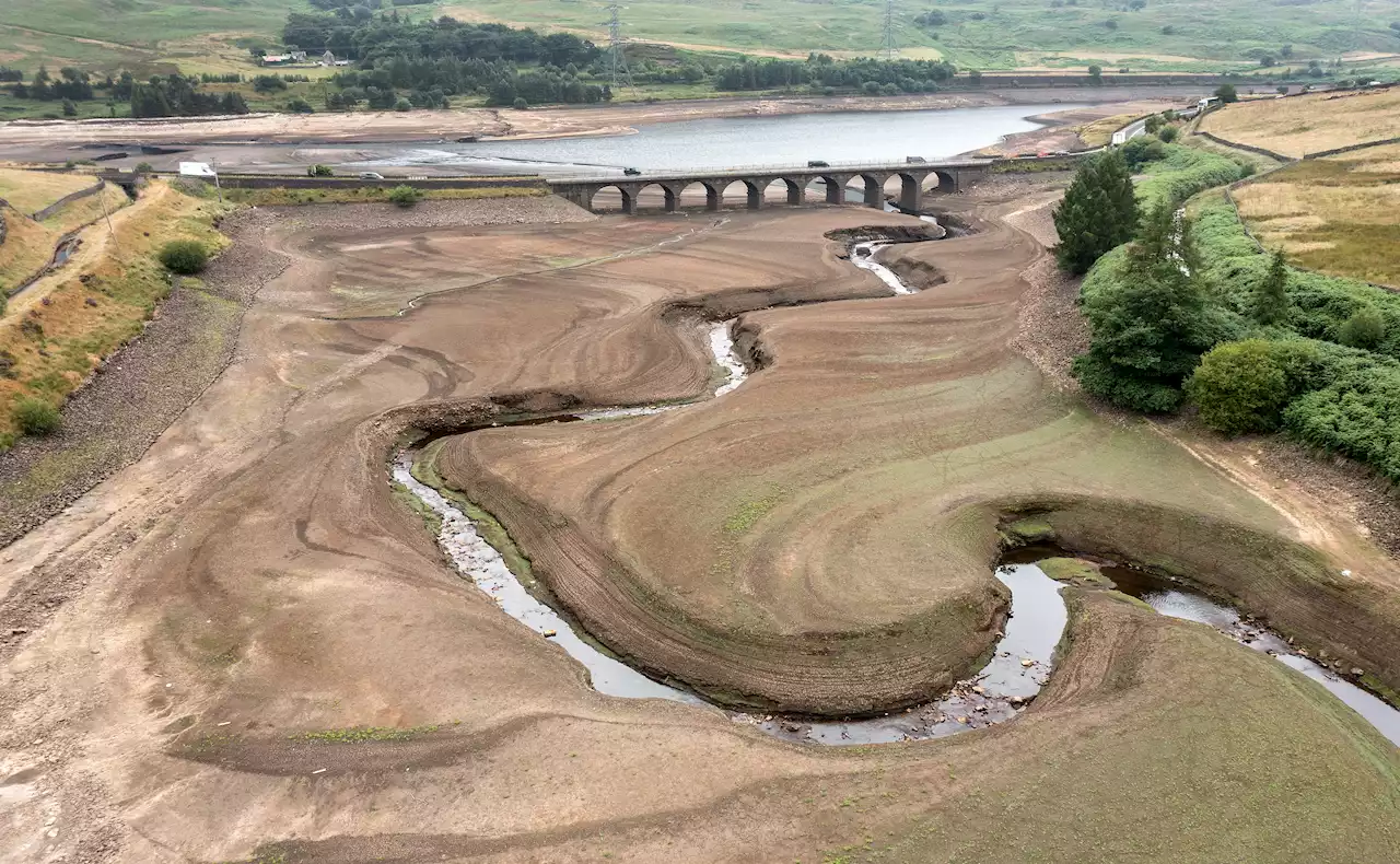 i morning briefing: A drought is expected to be declared, here's what you should know