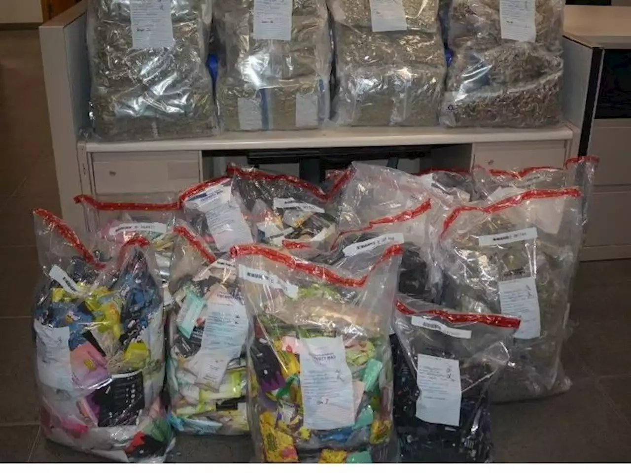 Police seize cannabis, psilocybin after raiding condo in Toronto’s Liberty Village