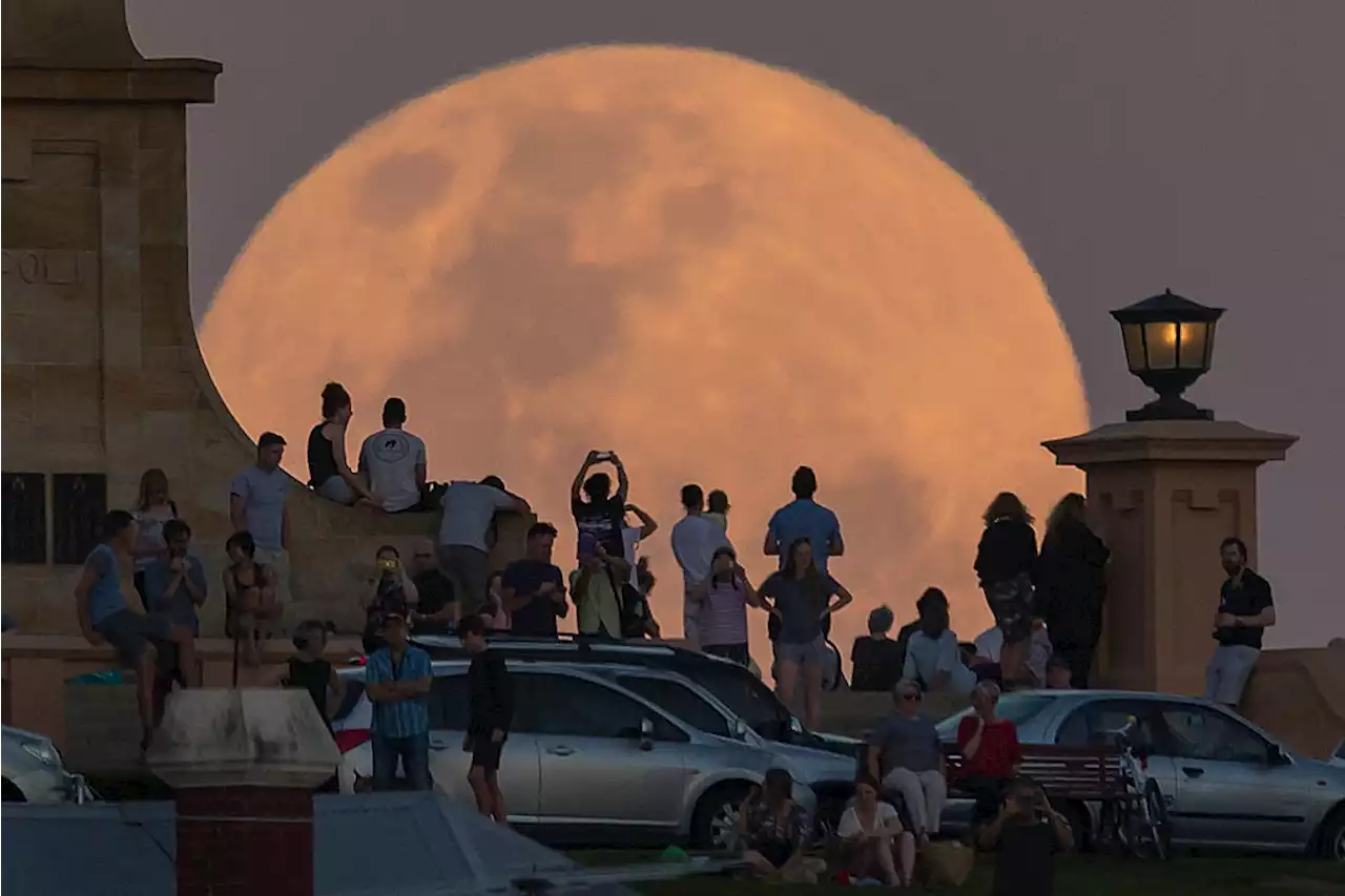 The Year's Final Supermoon Reminds Us Why We Love the Night Sky