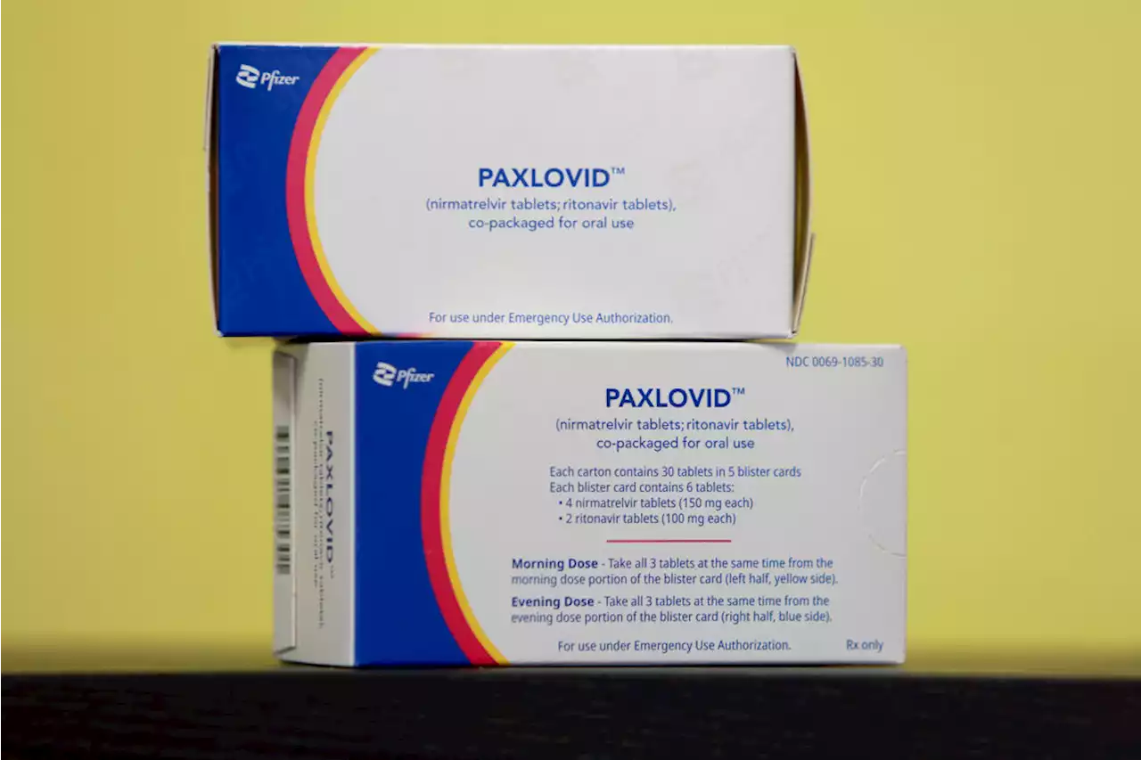 To Avoid Paxlovid Rebound, Some Experts Call for Longer Courses of Treatment