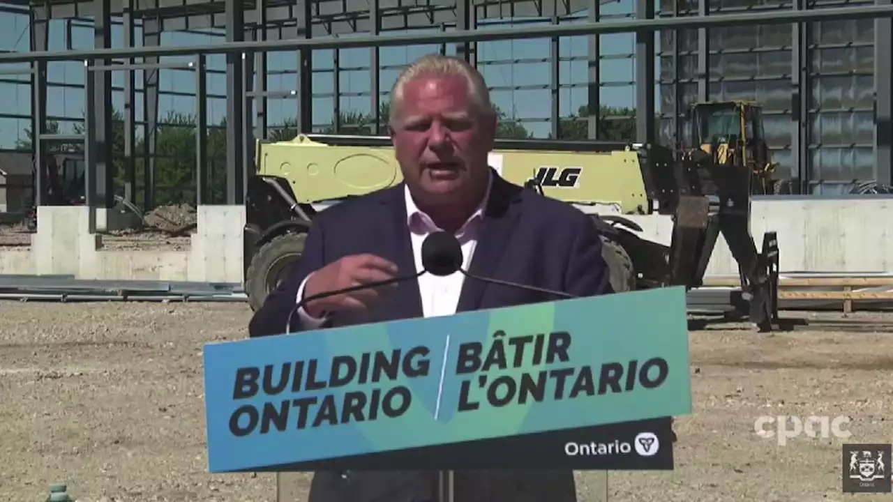 Doug Ford swallows bee during live press conference in Dundalk