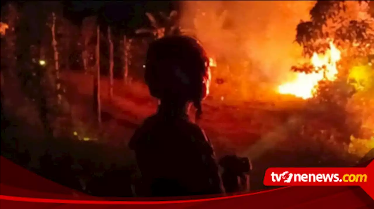 BPBD Kubu Raya Kalbar Mulai Gencar Cegah Hutan Terbakar