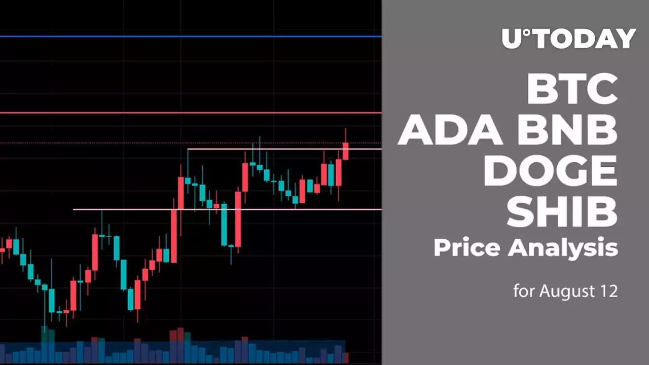 BTC, ADA, BNB, DOGE and SHIB Price Analysis for August 12