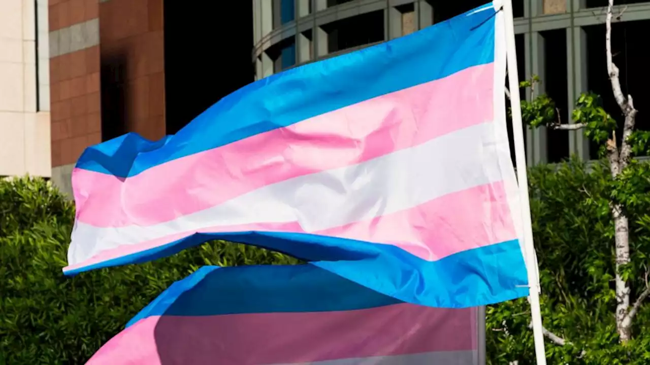 Florida to ban gender-affirming care under Medicaid for transgender recipients