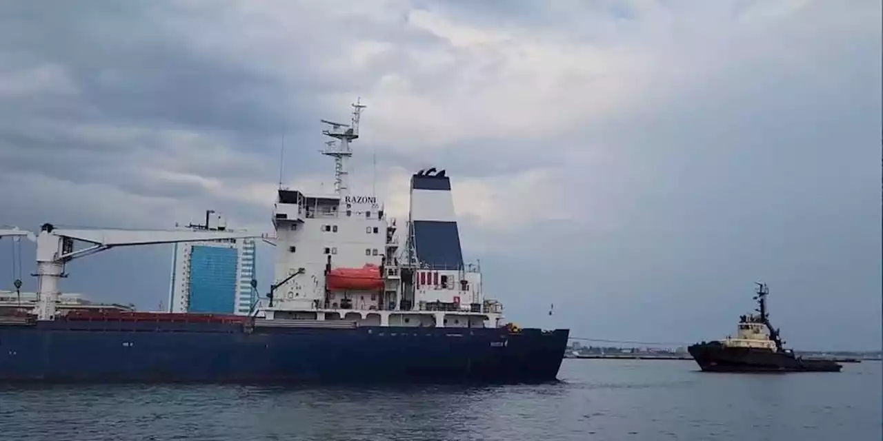 Ship reaches Ukraine to load up with wheat for hungry Africa