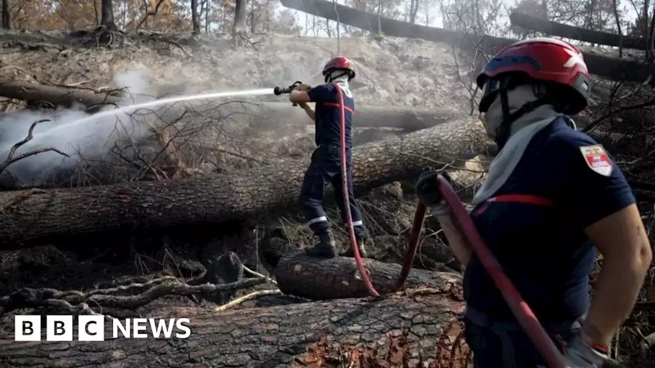 Evacuated twice in a summer as France's fires burn