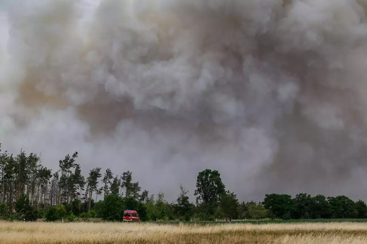 Waldbrand bei Niemegk: Feuerwehr gibt Entwarnung