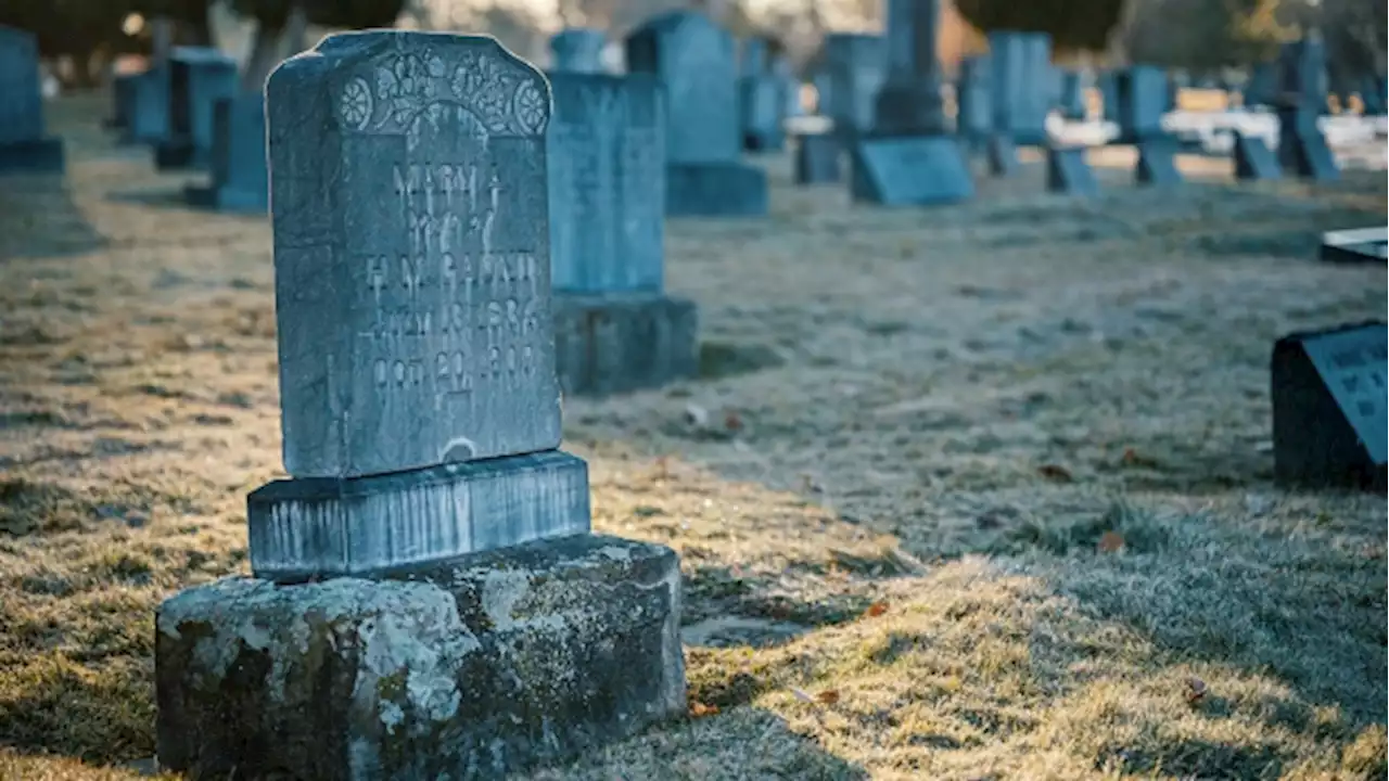 Park Lawn sinks as lower death rate cools Q2 cemetery demand - BNN Bloomberg