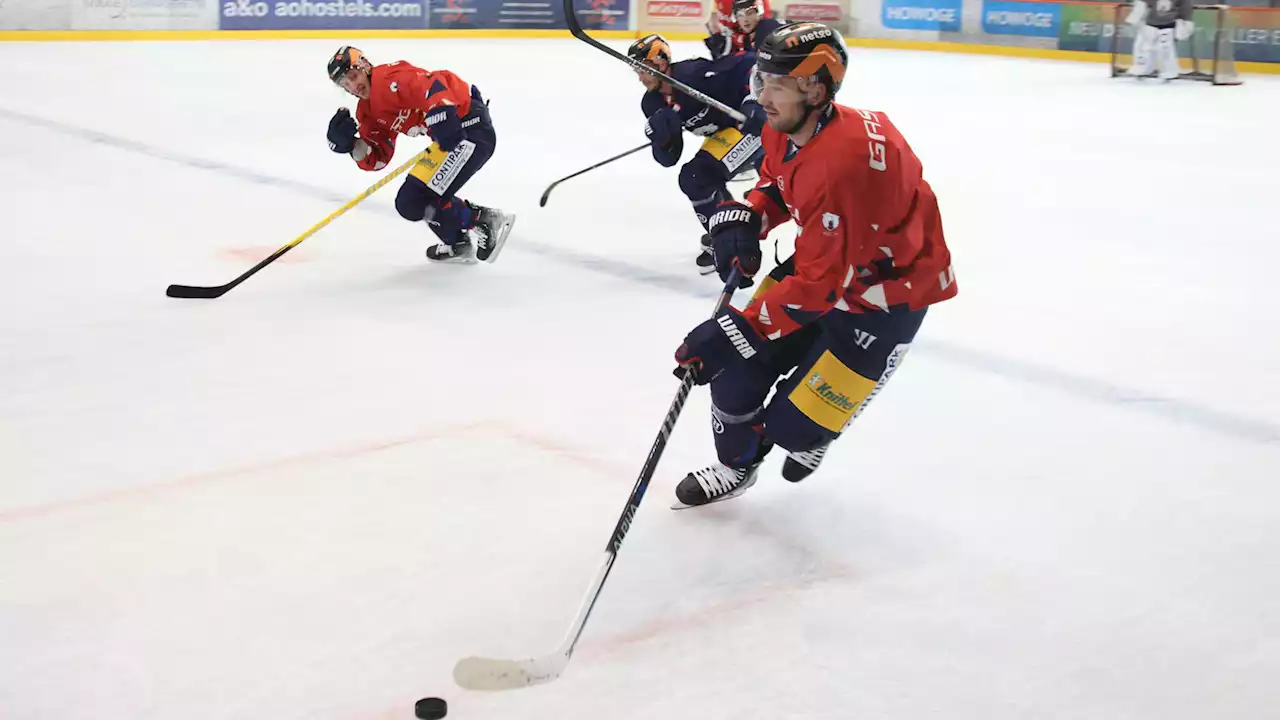 Eisbären starten mit Sieg in den Dolomitencup