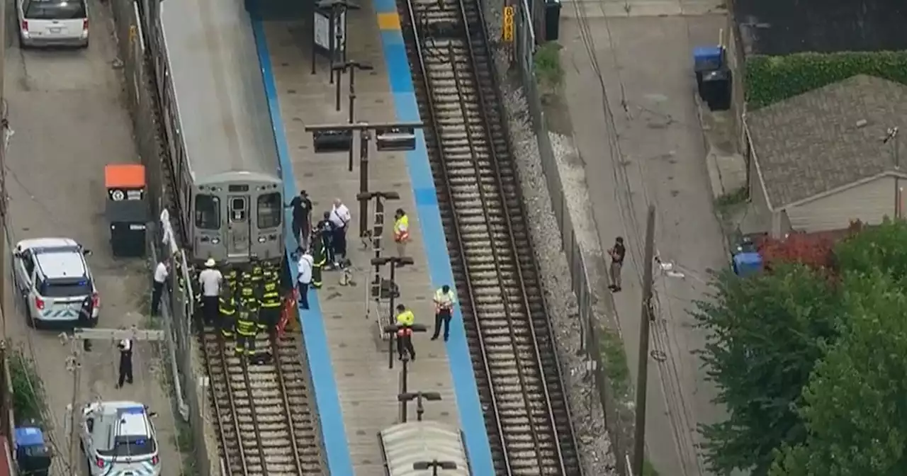 Man hit, killed by Brown Line train at Francisco stop