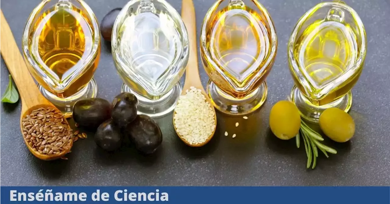 ¿cuáles Son Los Aceites De Cocina Más Saludables Esta Es La Forma Correcta De Utilizarlos