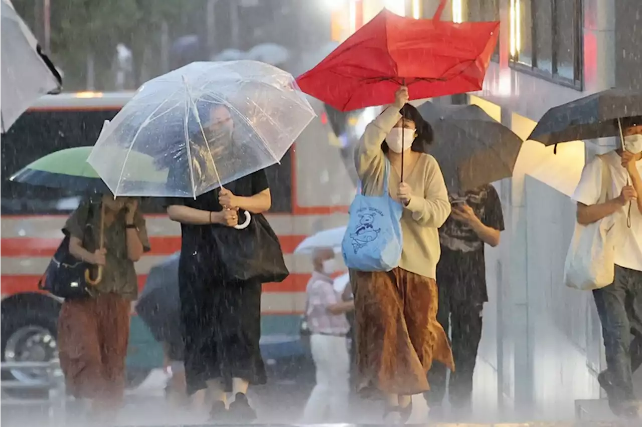 台風8号、伊豆半島に上陸 8万人超に避難指示 欠航・運休相次ぐ - トピックス｜Infoseekニュース