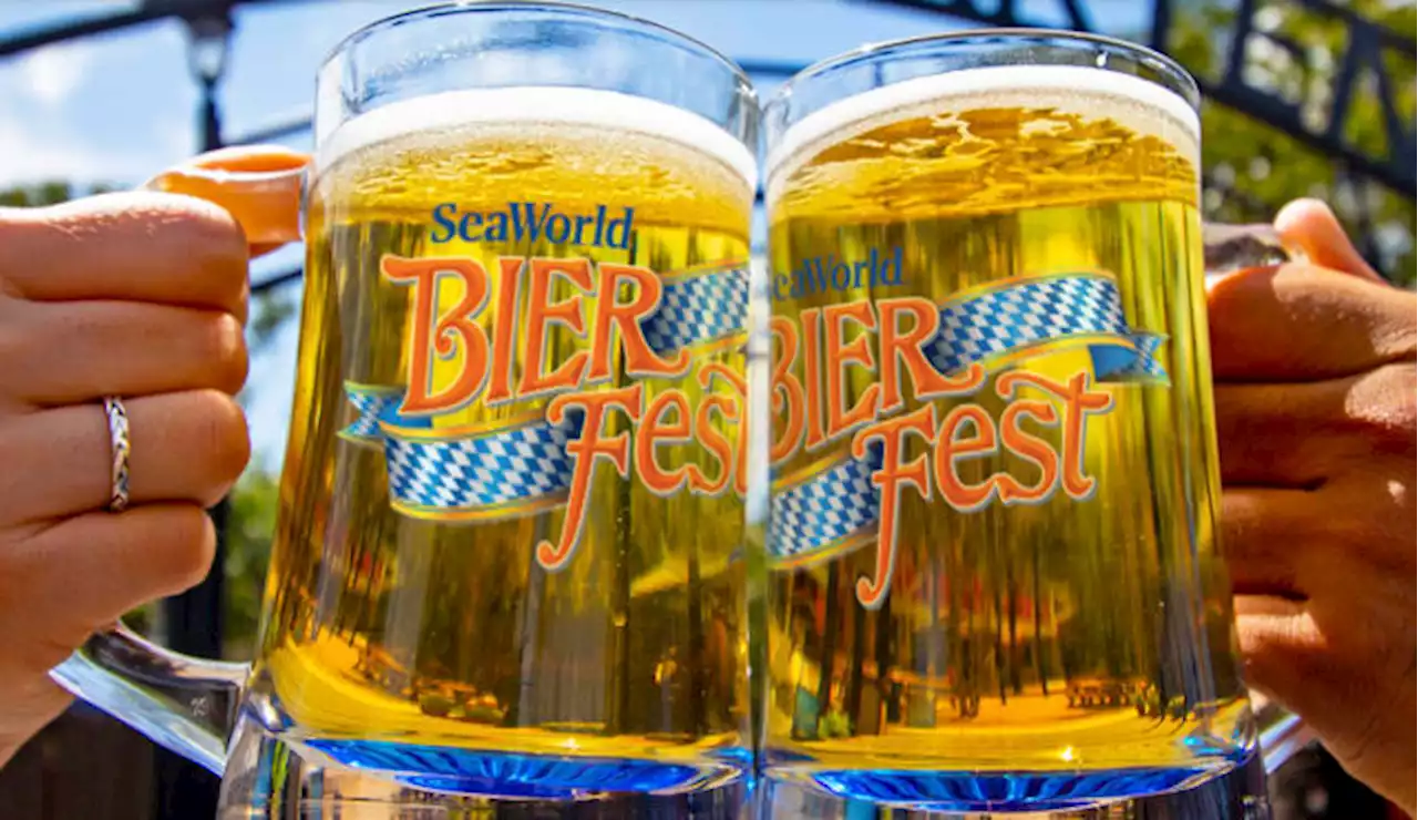 Bier Fest returns: Sea World San Antonio’s annual festival brings beers from Texas and beyond