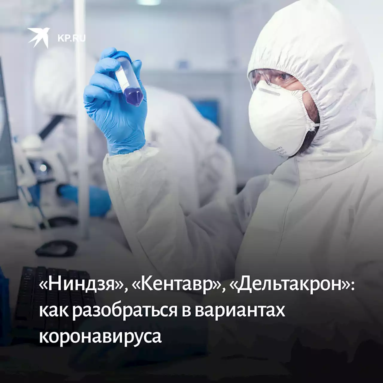 «Ниндзя», «Кентавр», «Дельтакрон»: как разобраться в вариантах коронавируса