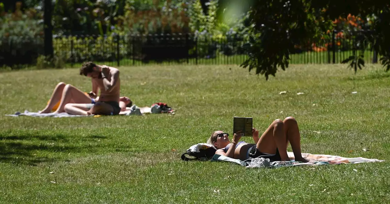 Hour-by-hour weather forecast for Leeds as heatwave continues into next week