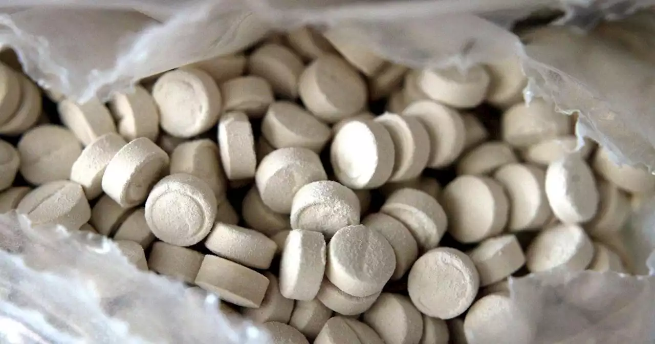 Leeds Festival 2022: Ecstasy warning from festival organisers