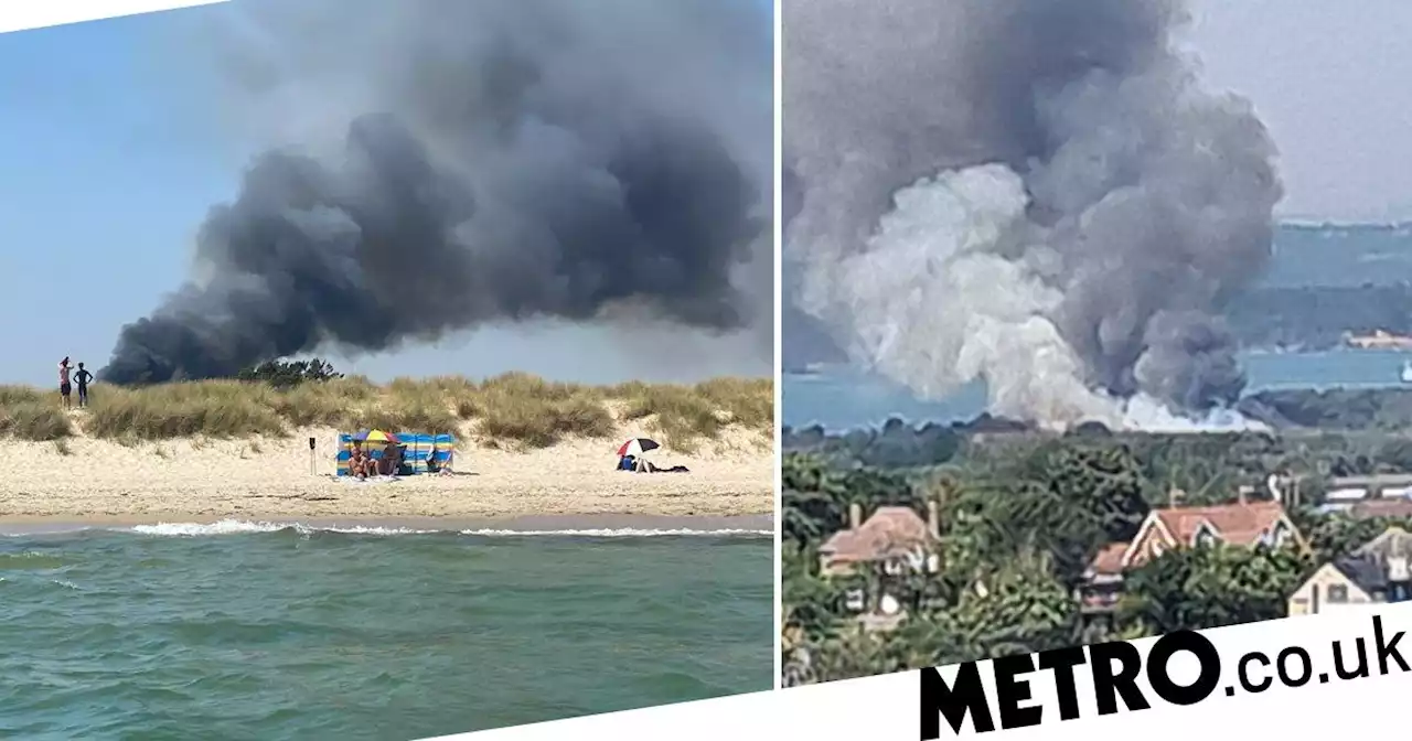 Massive fire near nudist beach 'likely caused by disposable BBQ'