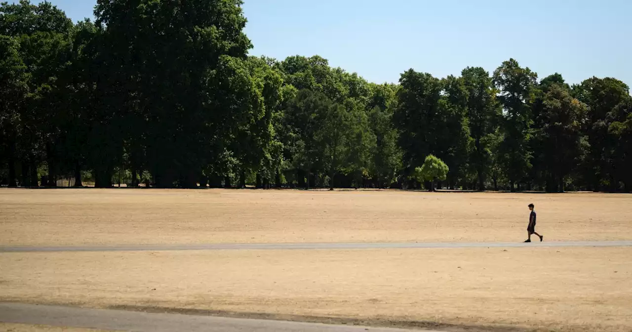 French forests burn and England's green countryside turns brown as Europe reels from heat waves