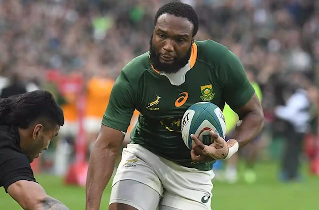 Bok ratings: Majestic Am ... but team take punch to guts | Sport