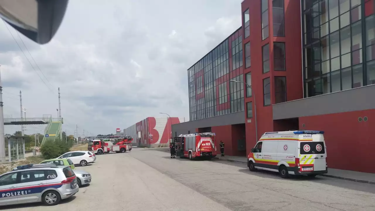 Fettexplosion in einer Wiener Neustädter Küche: eine Person verletzt