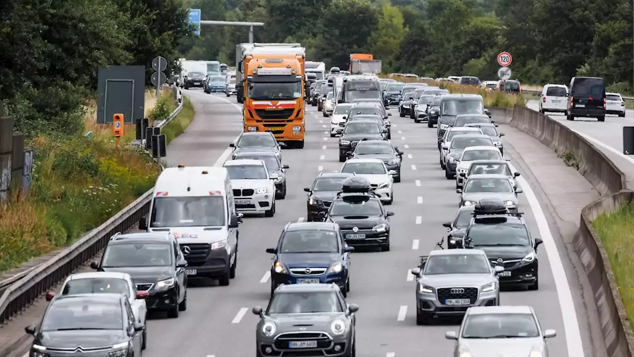 Umweltverbände rütteln an Dienstwagenregeln