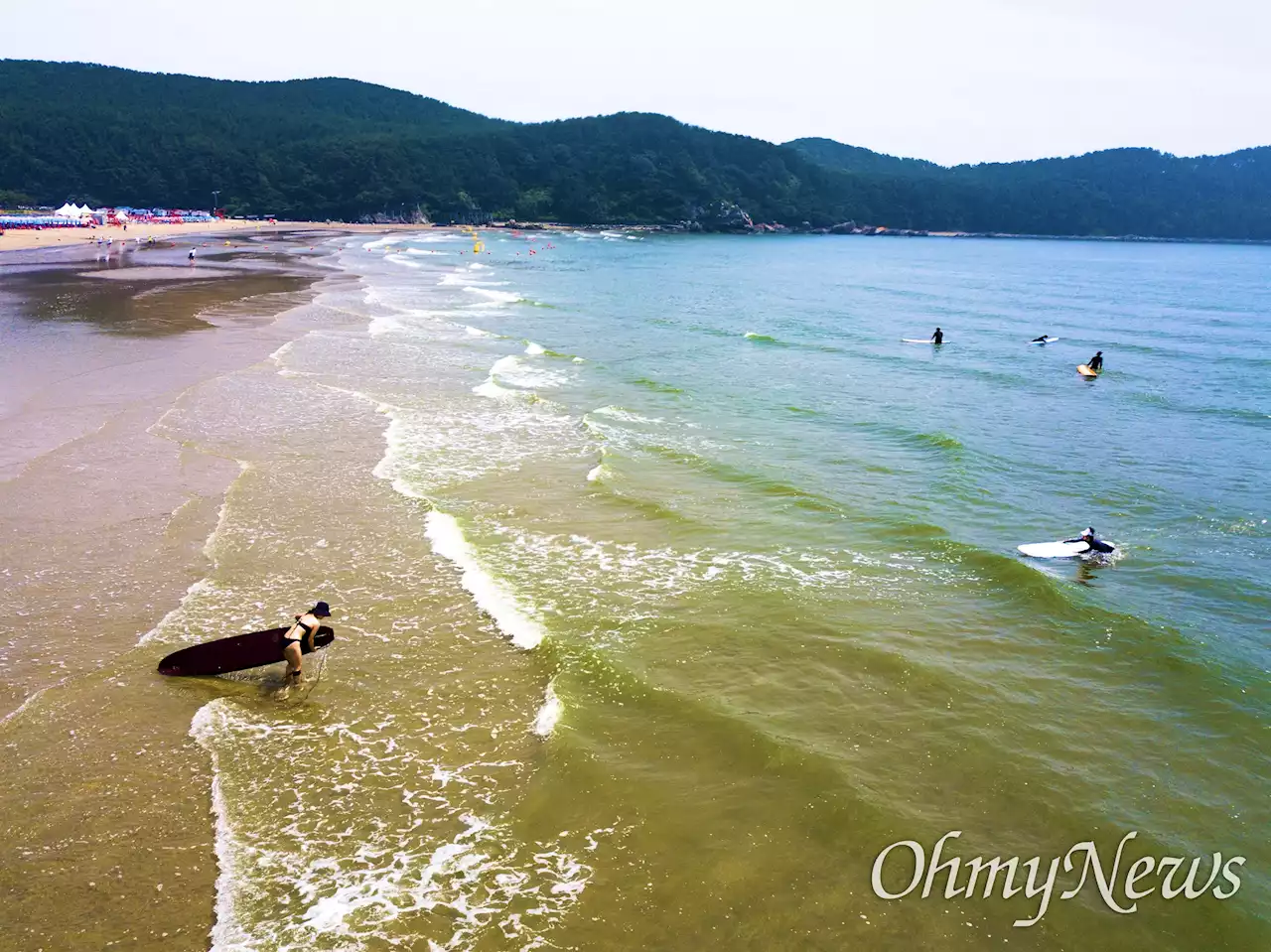 [오마이포토2022] 낙동강서 떠내려와 다대포 해변 뒤덮은 녹조