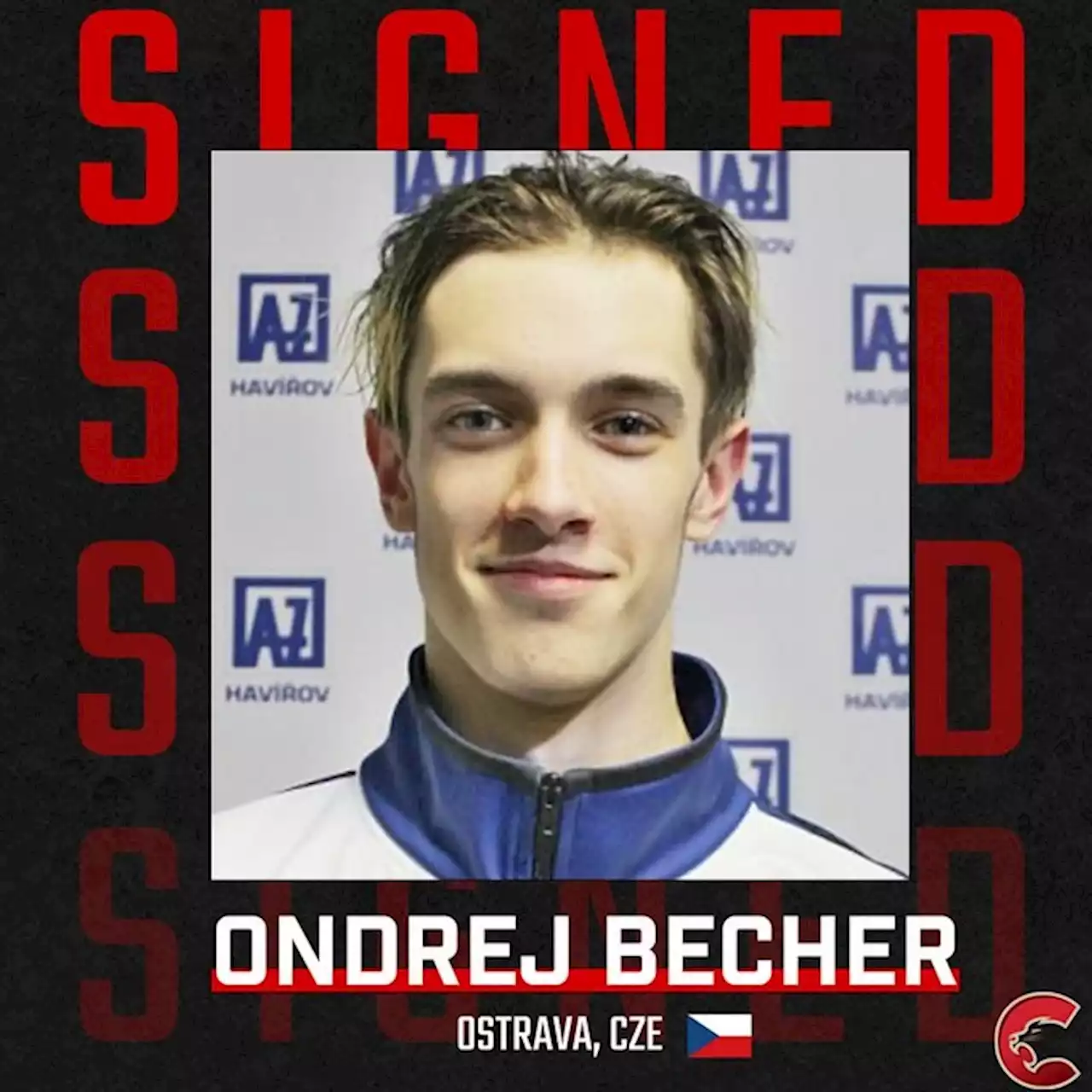 Cougars sign import forward Ondrej Becher