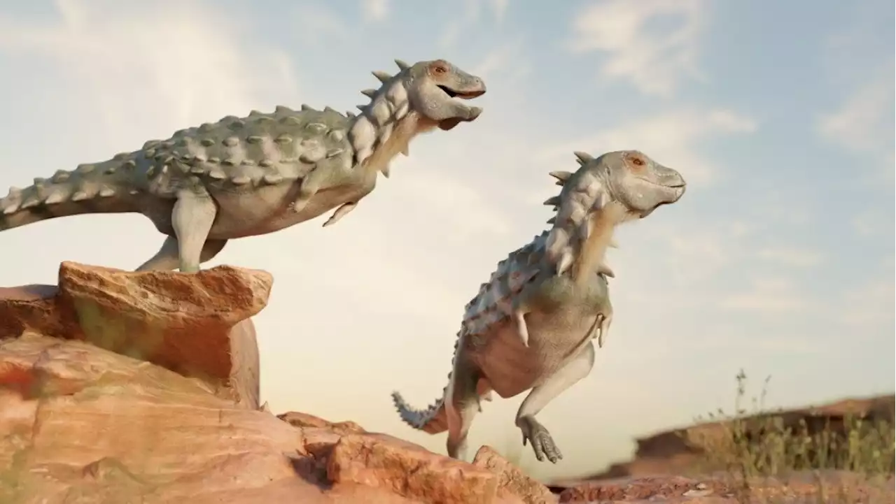 Move over, Stegosaurus, there’s a new armored dino in town