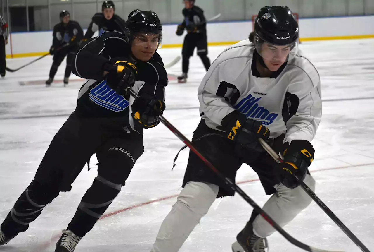 Hockey players with Cape Breton connections set to begin QMJHL training camps | SaltWire