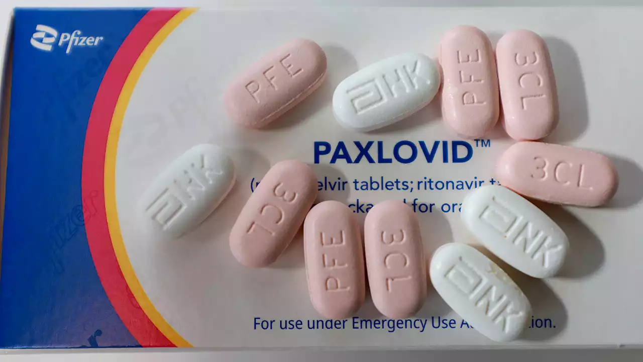 COVID-19 infections can rebound, even without taking Paxlovid