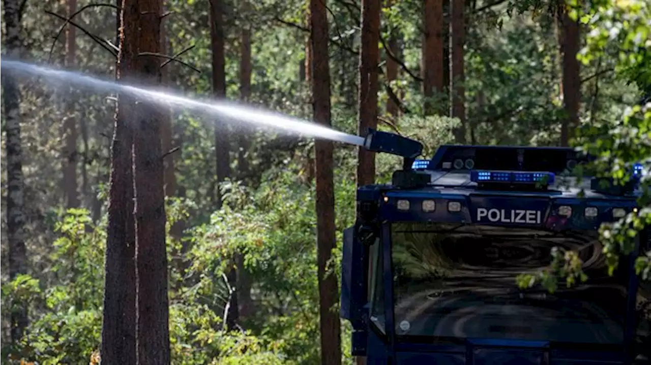 Wieder Feuer im Berliner Grunewald – mittlerweile gelöscht