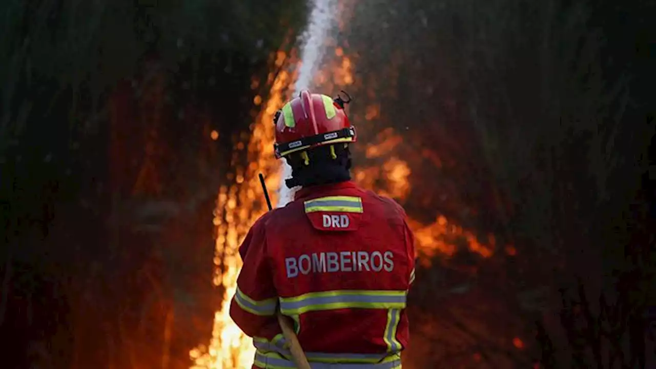 Kebakaran Hutan Videmonte di Portugal yang Terus Membara