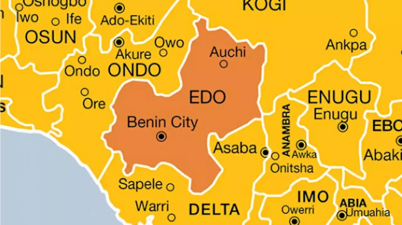 Edo digital media practitioners unveil umbrella body to set professional standards | TheCable