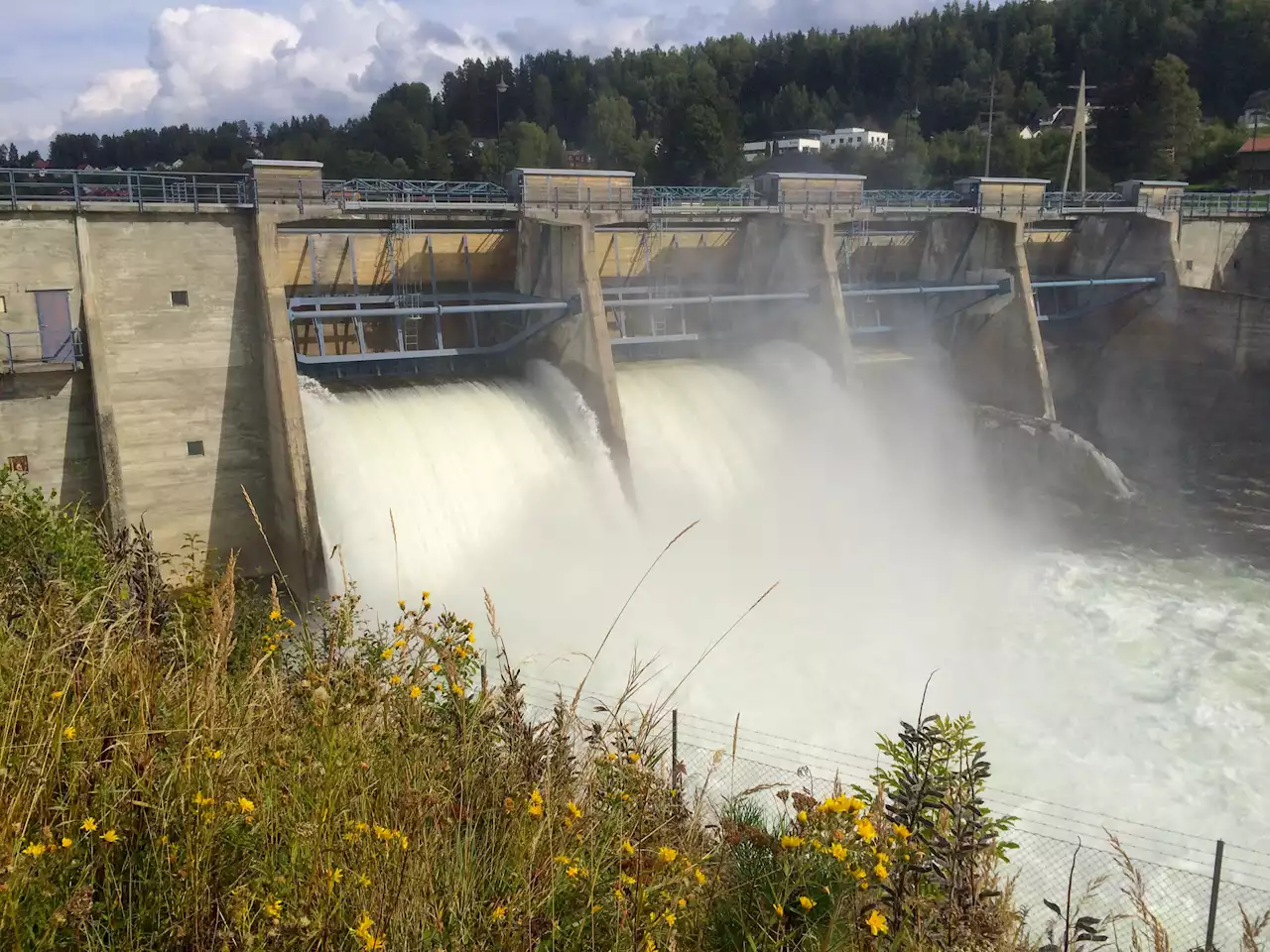 UK could face blackouts after drought causes European hydropower output to plummet, experts say