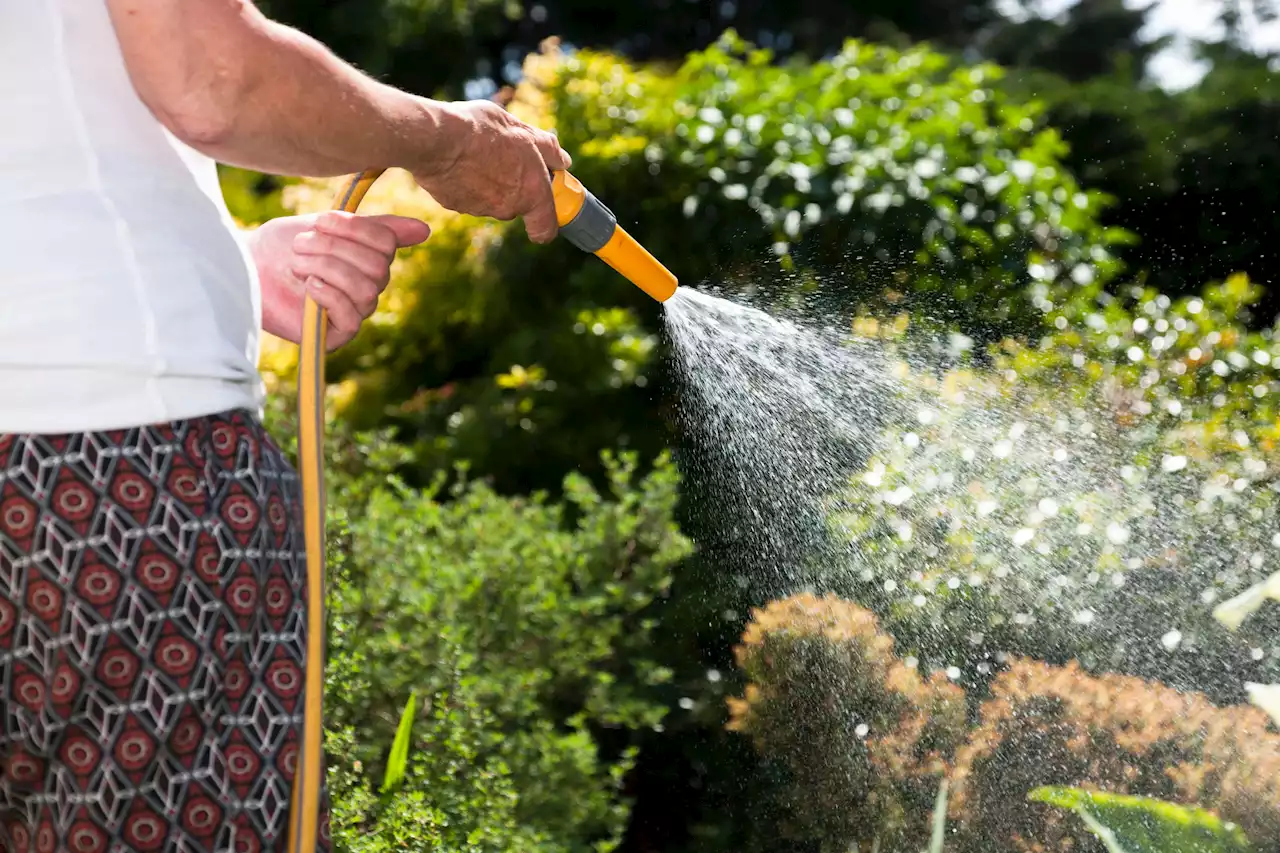 How to find out if your area is affected by the hosepipe ban