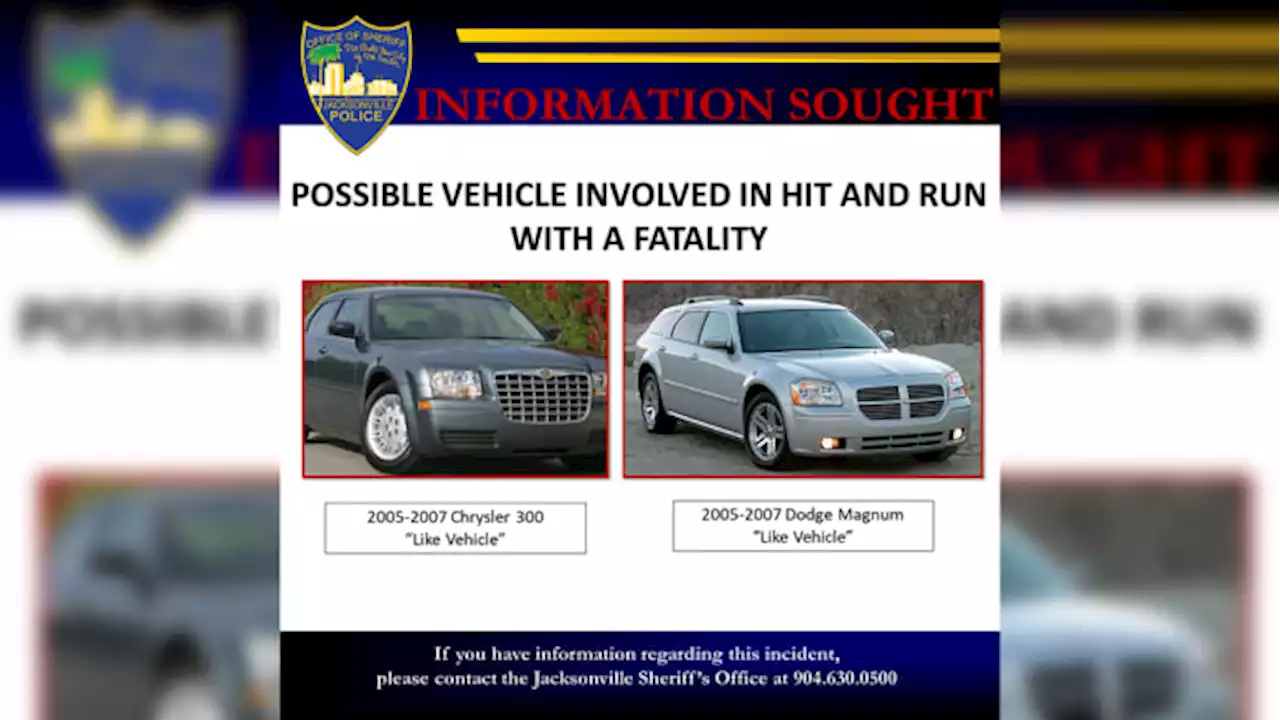 Vehicle sought in deadly hit-and-run on New Kings Road