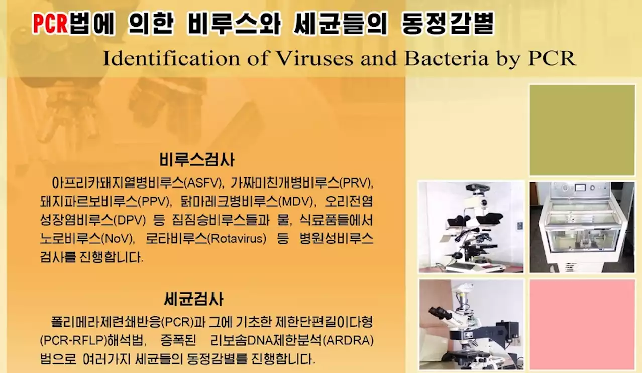 코로나 종식 선언한 북한…PCR 검사는 어떻게 했을까 | 연합뉴스