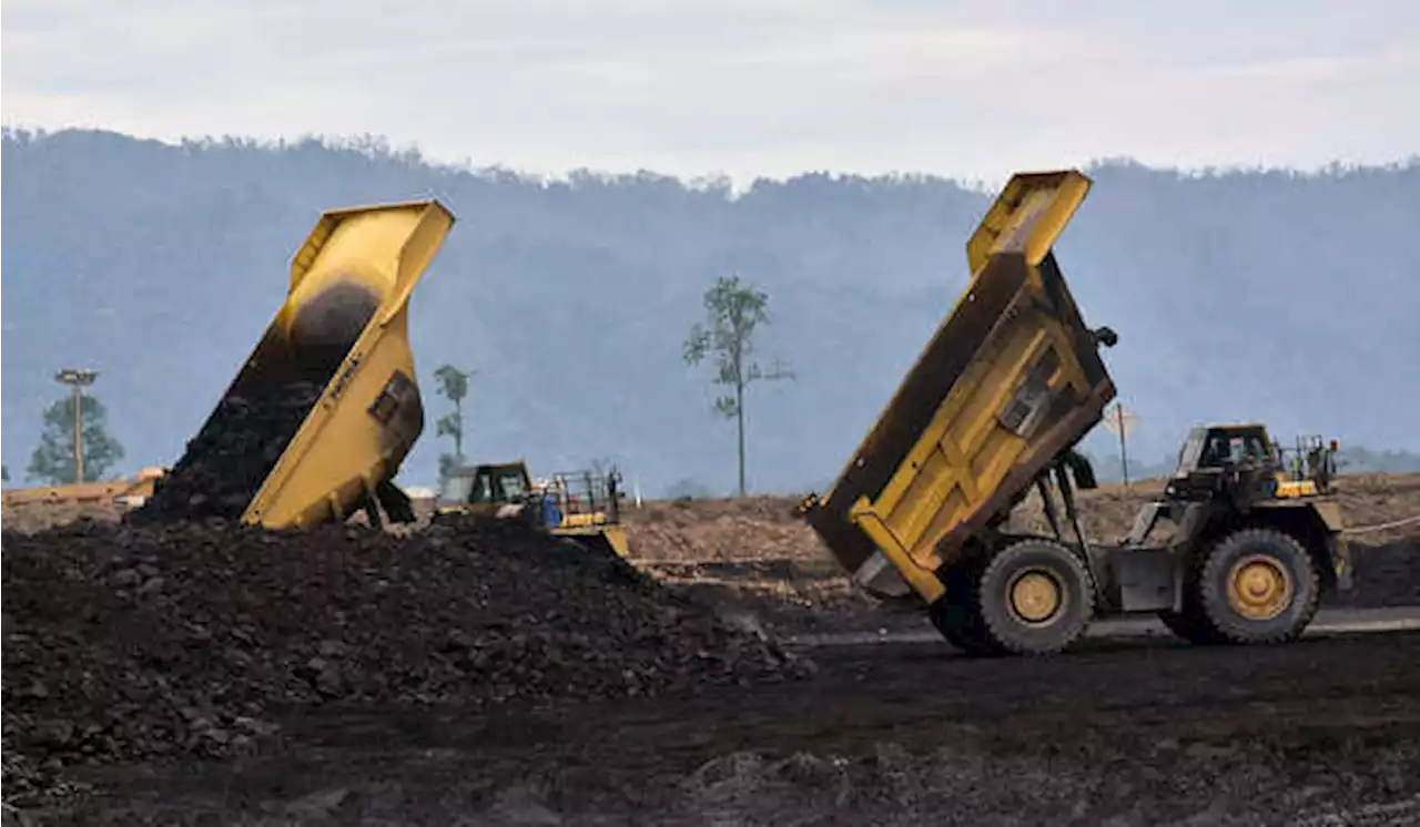 IPO, Black Diamond Resources Bidik Dana Segar Rp 227 Miliar