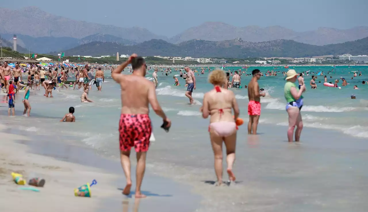 Badegäste in Gefahr: Immer mehr Fäkalien treiben vor Mallorca