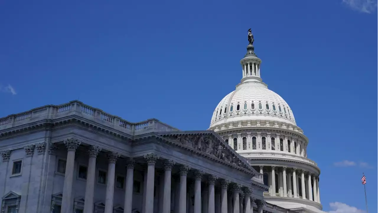 Man killed himself after ramming U.S. Capitol barrier: police