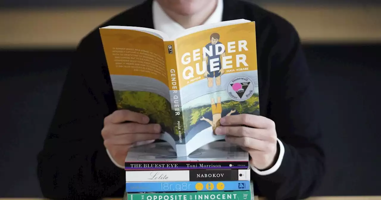 Michigan town defunds library over LGBT books